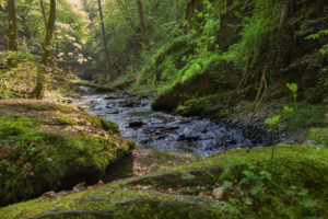 Die Ehrbachklamm romantisch und verwunschen Die Ehrbachklamm romantisch und verwunschen
